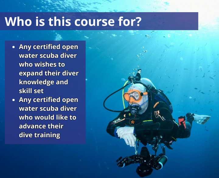 SDI Deep Diving