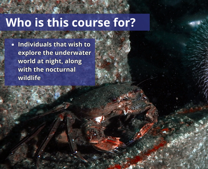 SDI Night-Limited Visibility Diving