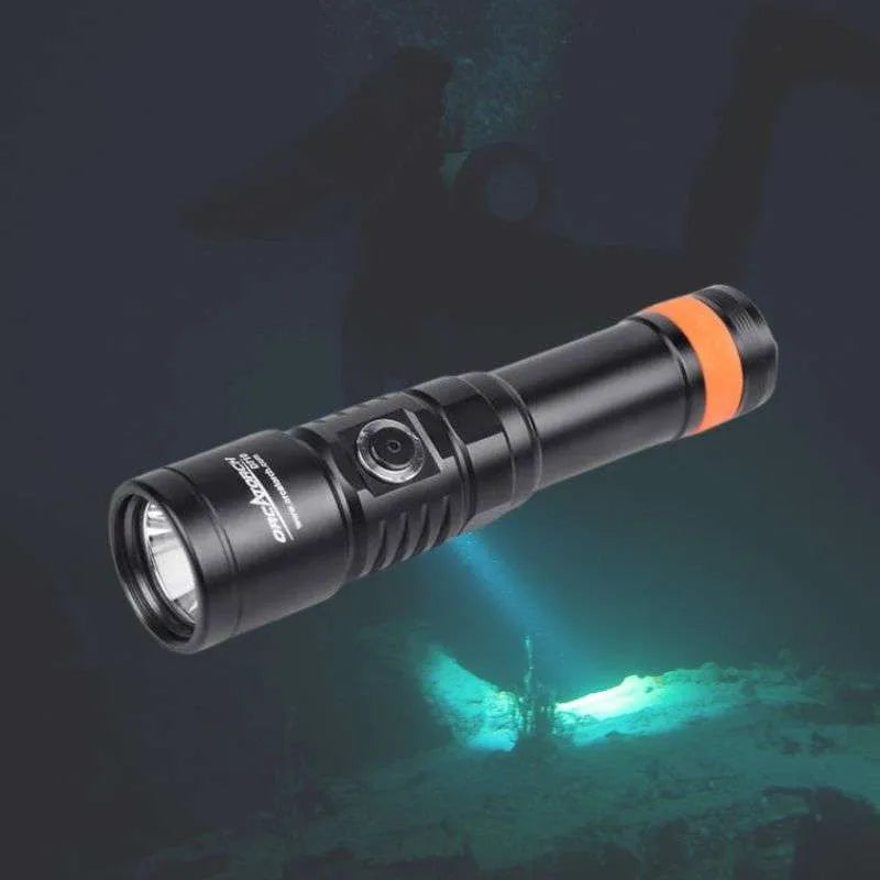 Torch Hire