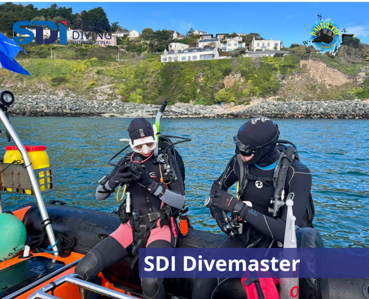SDI Divemaster
