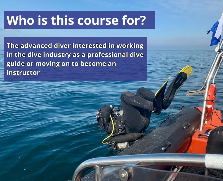 SDI Divemaster