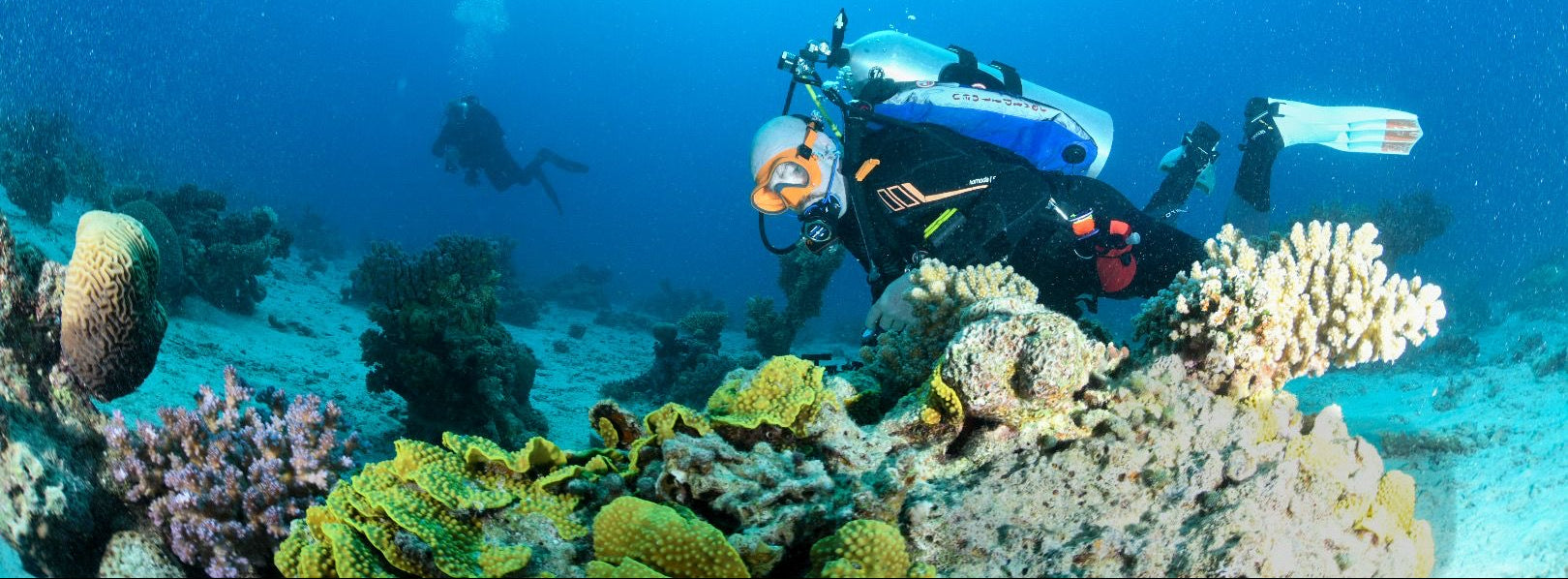 Diver exploring a coral reef underwater with clear blue water.