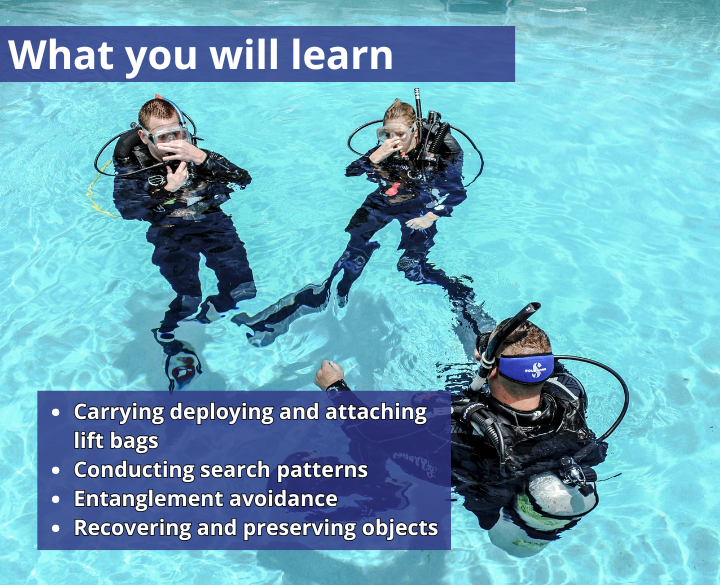 SDI Search and Recovery