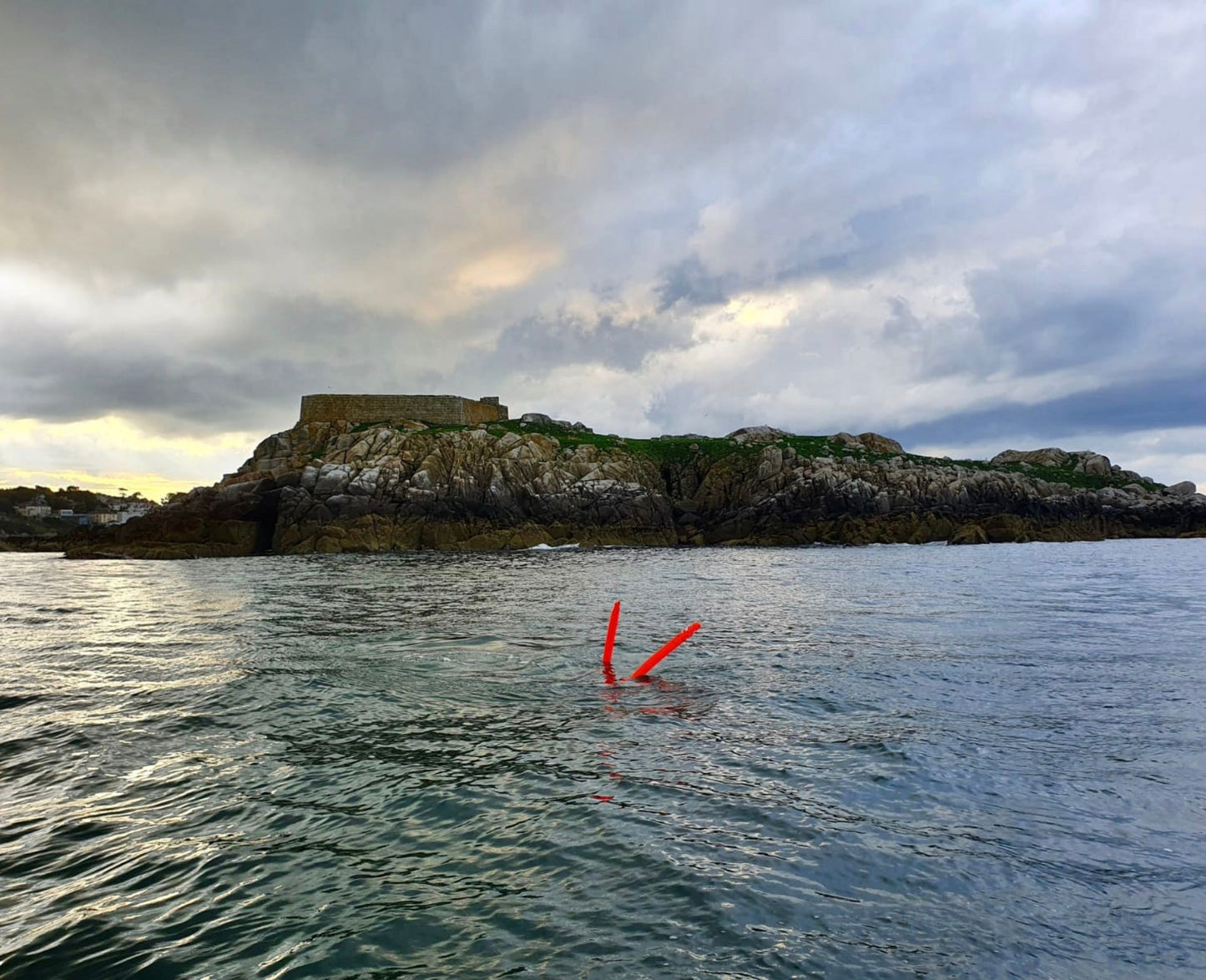 Boat Dive - Local