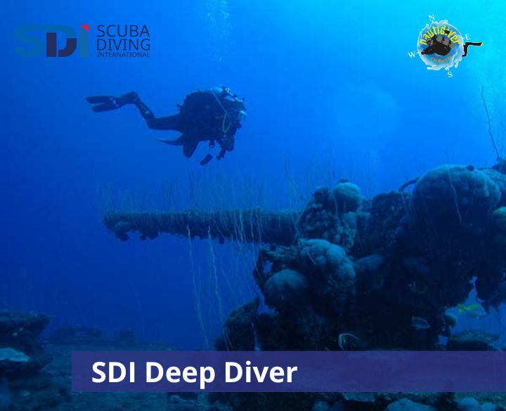 SDI Deep Diving