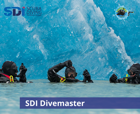 SDI Divemaster