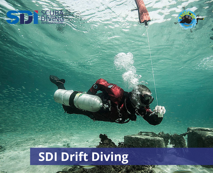 SDI Drift Diving