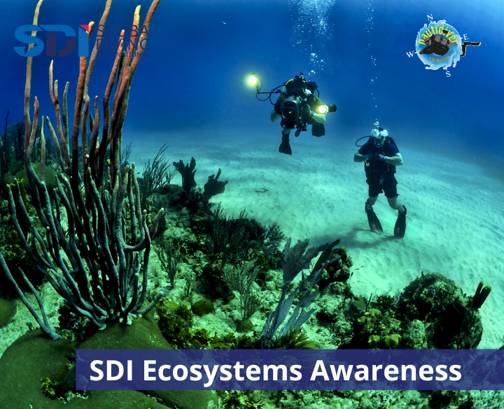 SDI Marine Ecosystems Awareness
