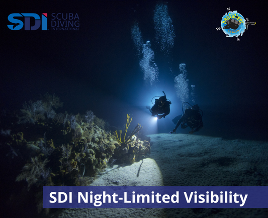 SDI Night-Limited Visibility Diving