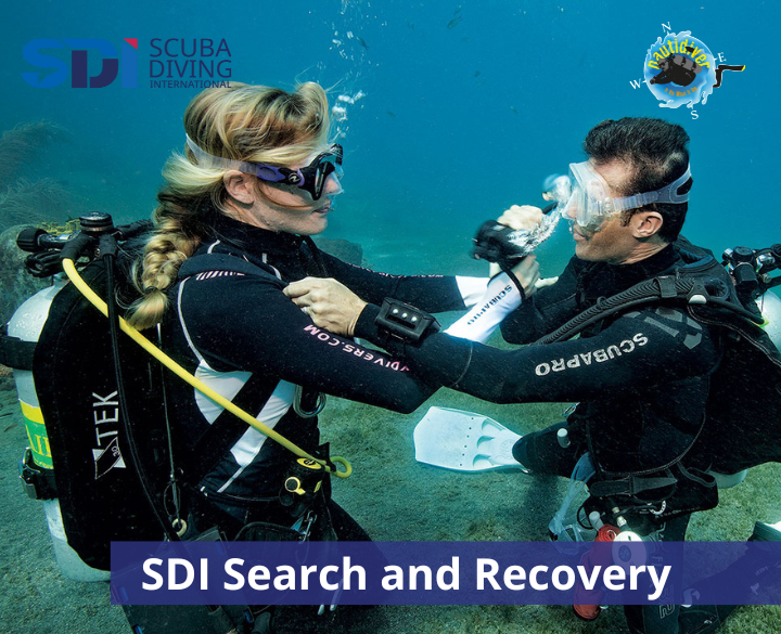 SDI Search and Recovery