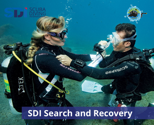 SDI Search and Recovery