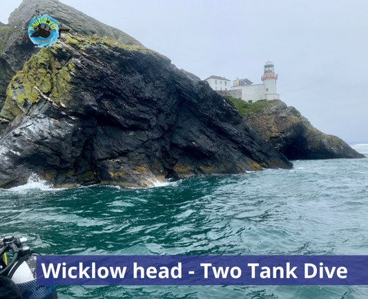 Wicklow Head - Two Tank Dive
