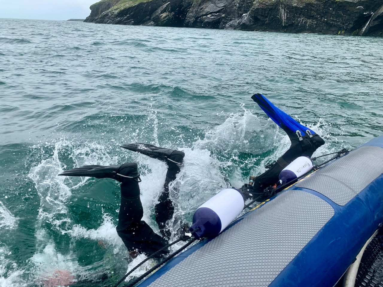 Wicklow Head - Two Tank Dive