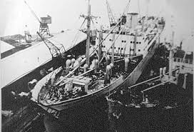 Boat Dive - MV Bolivar