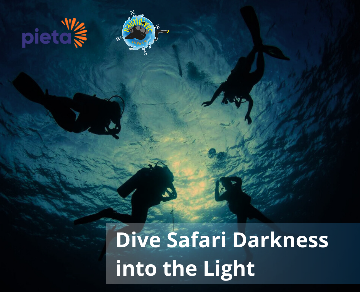Dive Safari Dunlaoighre, Darkness into the Light